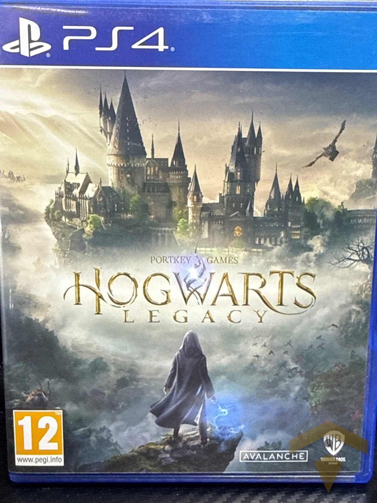 Игра Hogwarts Legacy PS4