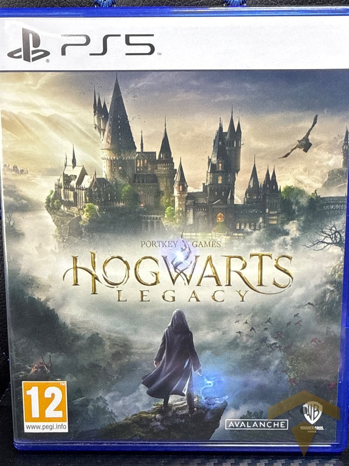 Игра Hogwarts Legdcy PS5